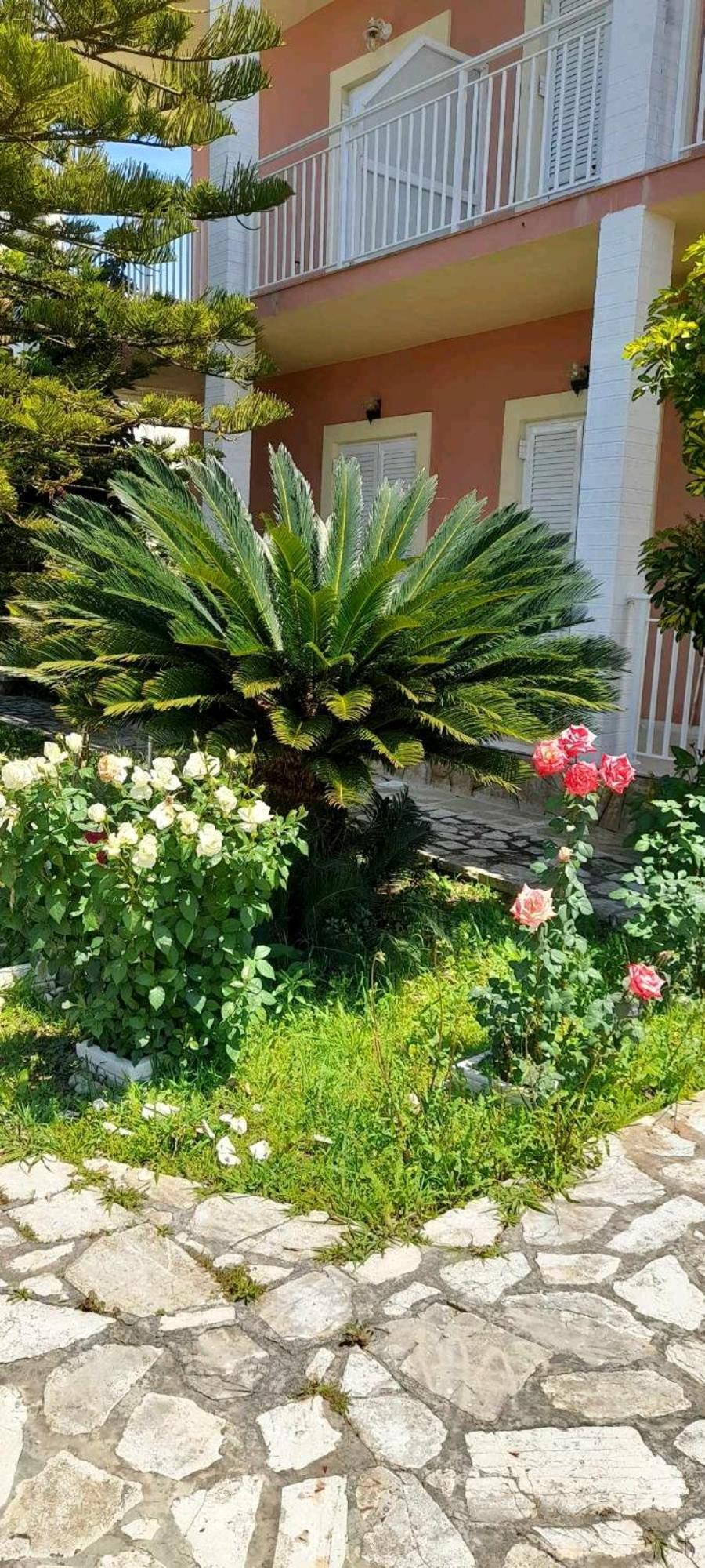 Angelos Apartment'S Arillas  Dış mekan fotoğraf