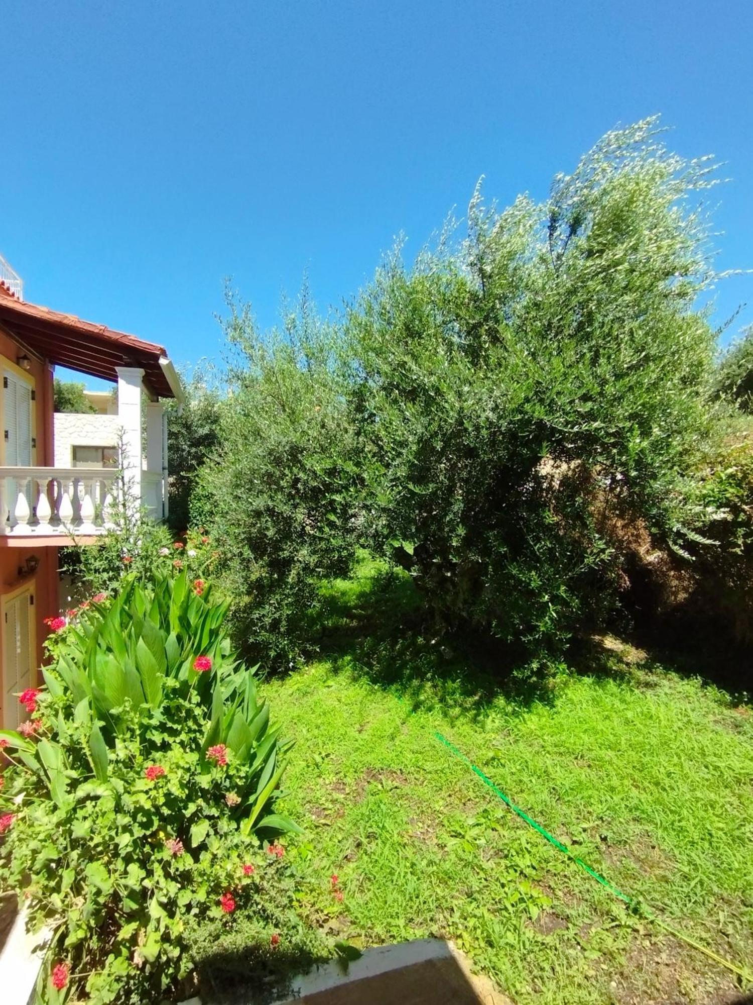 Angelos Apartment'S Arillas  Dış mekan fotoğraf